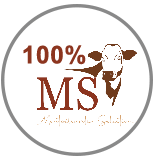 100% MS