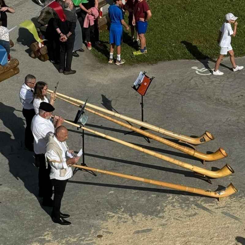 sonneurs cor des alpes lors d'un comice