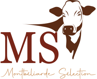 logo-MS