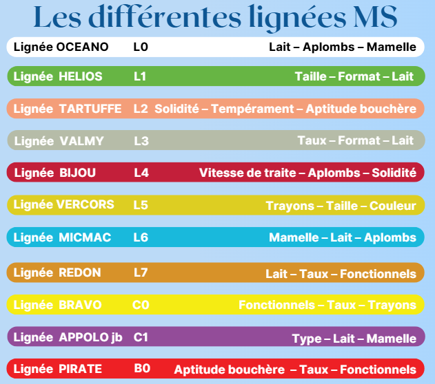 Liste des lignées de Montbéliarde Sélection